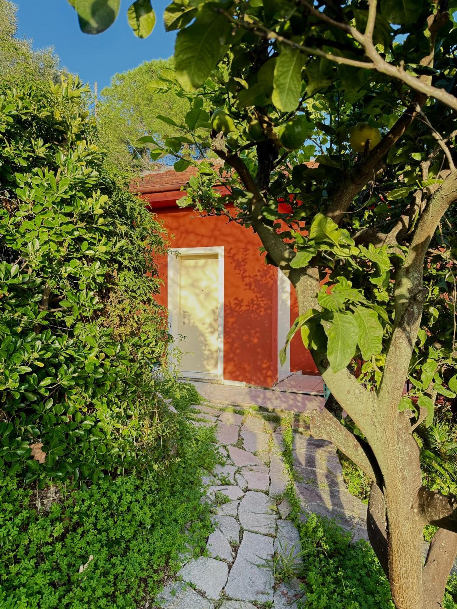 Villa Cielo Costarainera Eksteriør bilde
